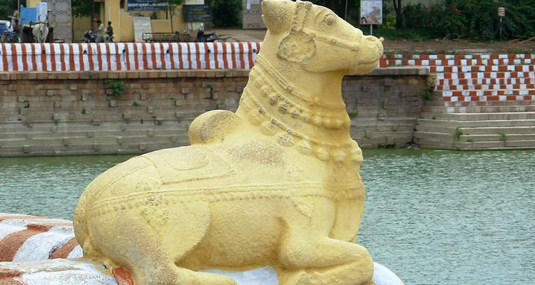 Vandiyur Mariamman Teppakulam in Madurai (Entry Fee, Timings, Entry ...